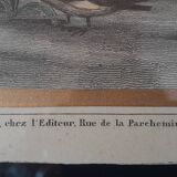 Genuine old map 1854