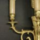 Paire d'appliques en bronze doré flèche et têtes d'aigle style Empire