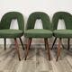 Dining Chairs by Antonin Suman 1960s