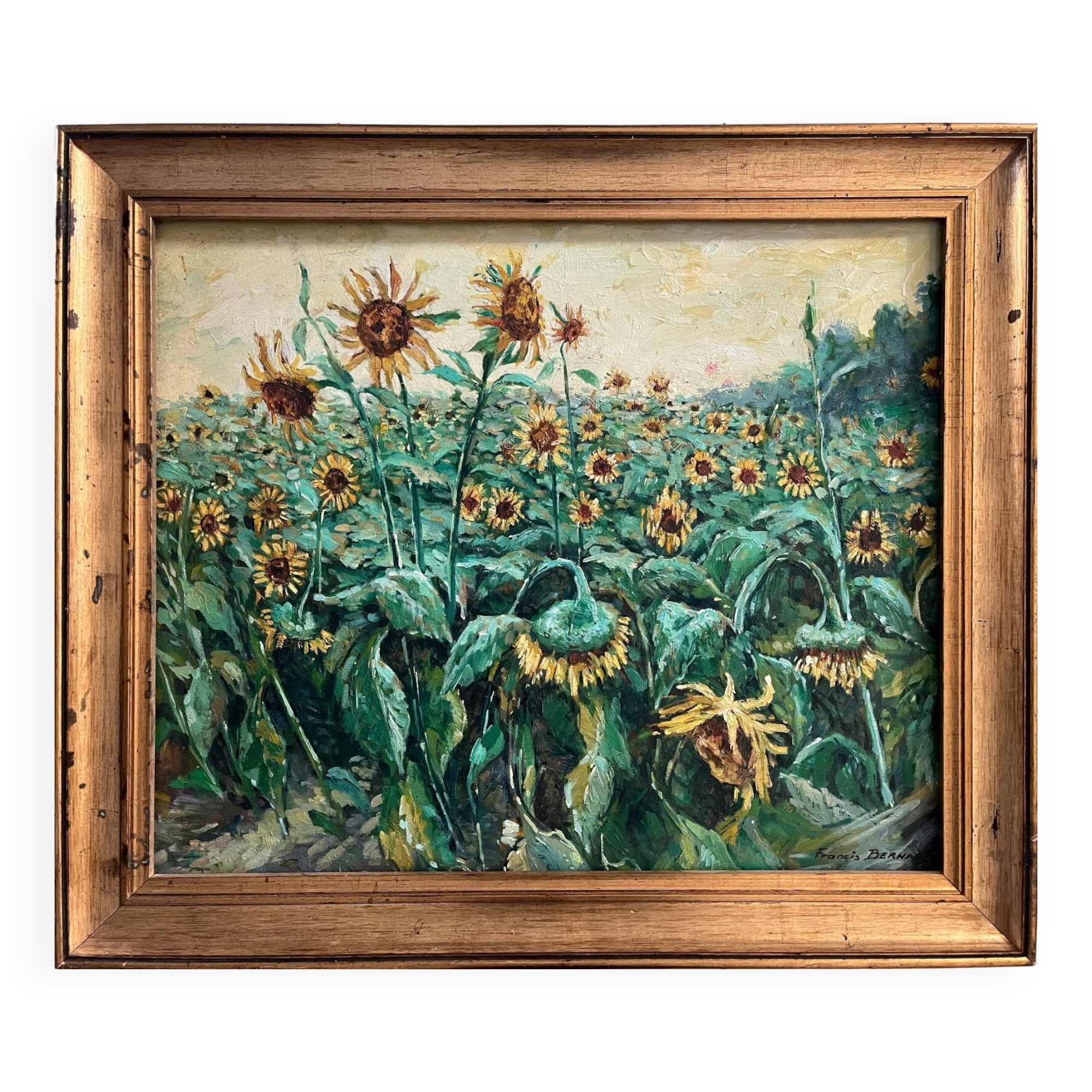Tableau HST "Sunflower Fields" signed + frame