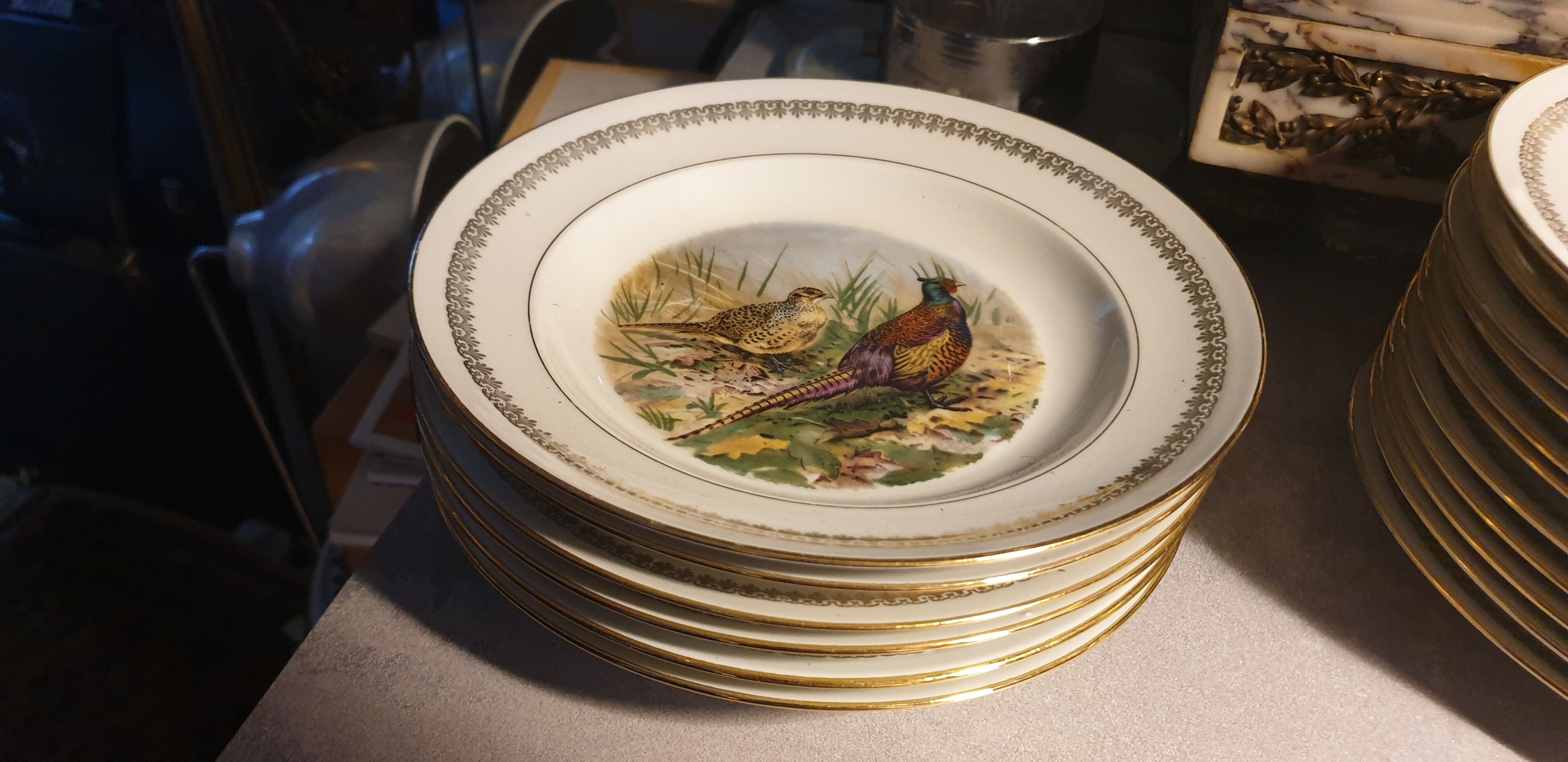 Game plates pl france