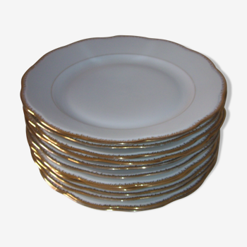 White porcelain plates