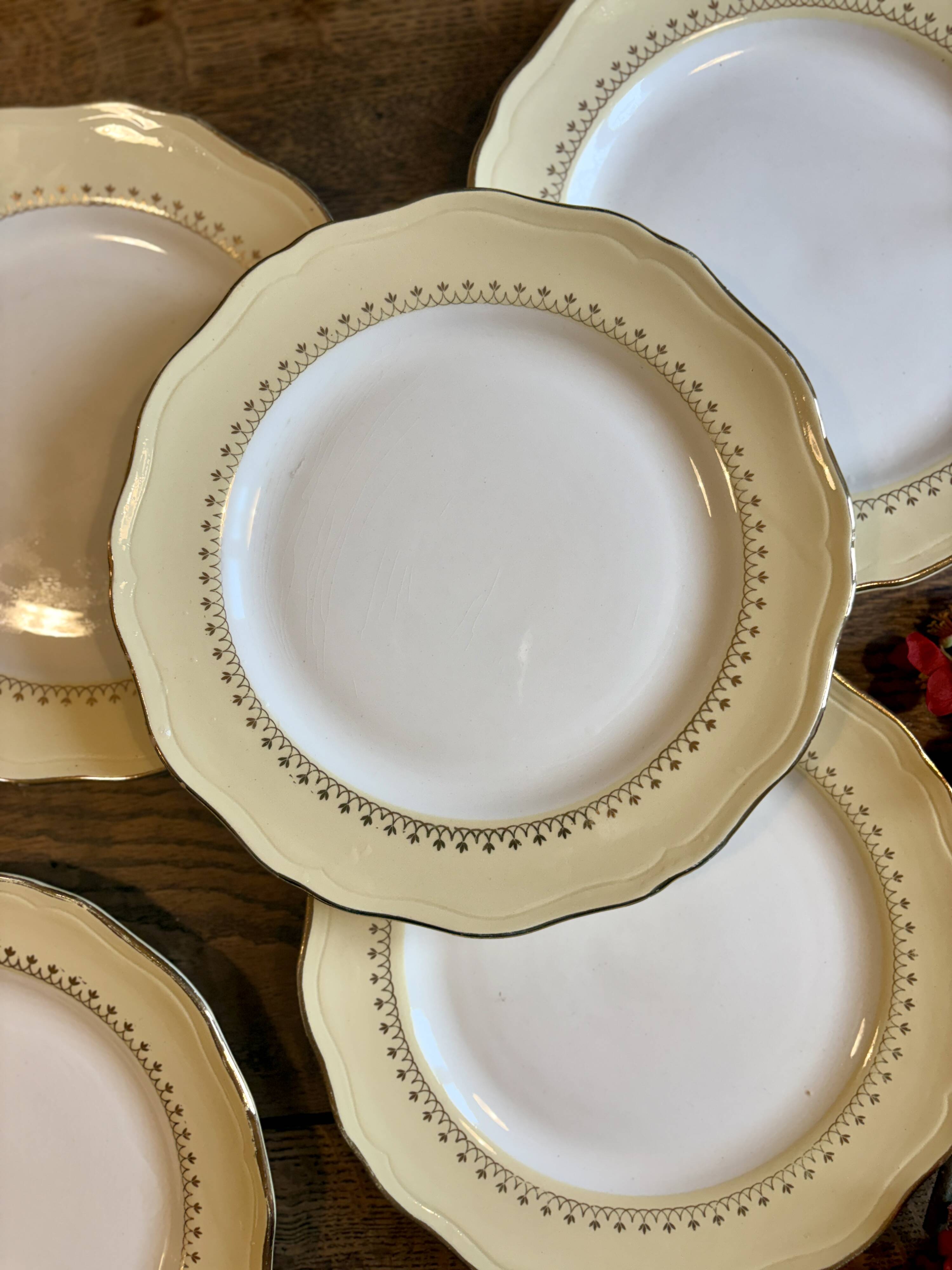 Set of 6 vintage white dinner plates with yellow and gold trim.