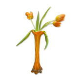 Orange soliflore