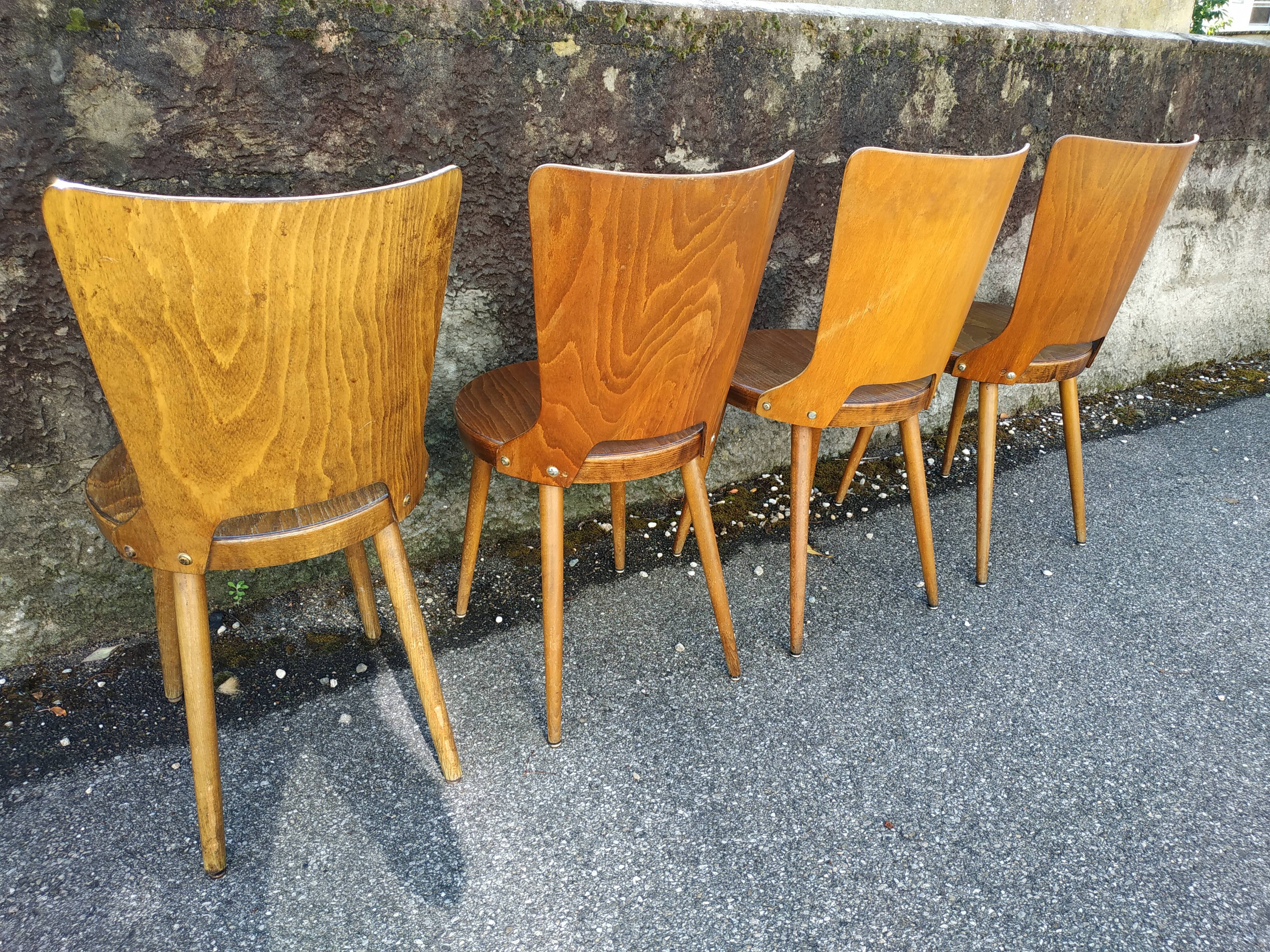 Suite of 4 vintage chairs Baumann model "Dove" 50s