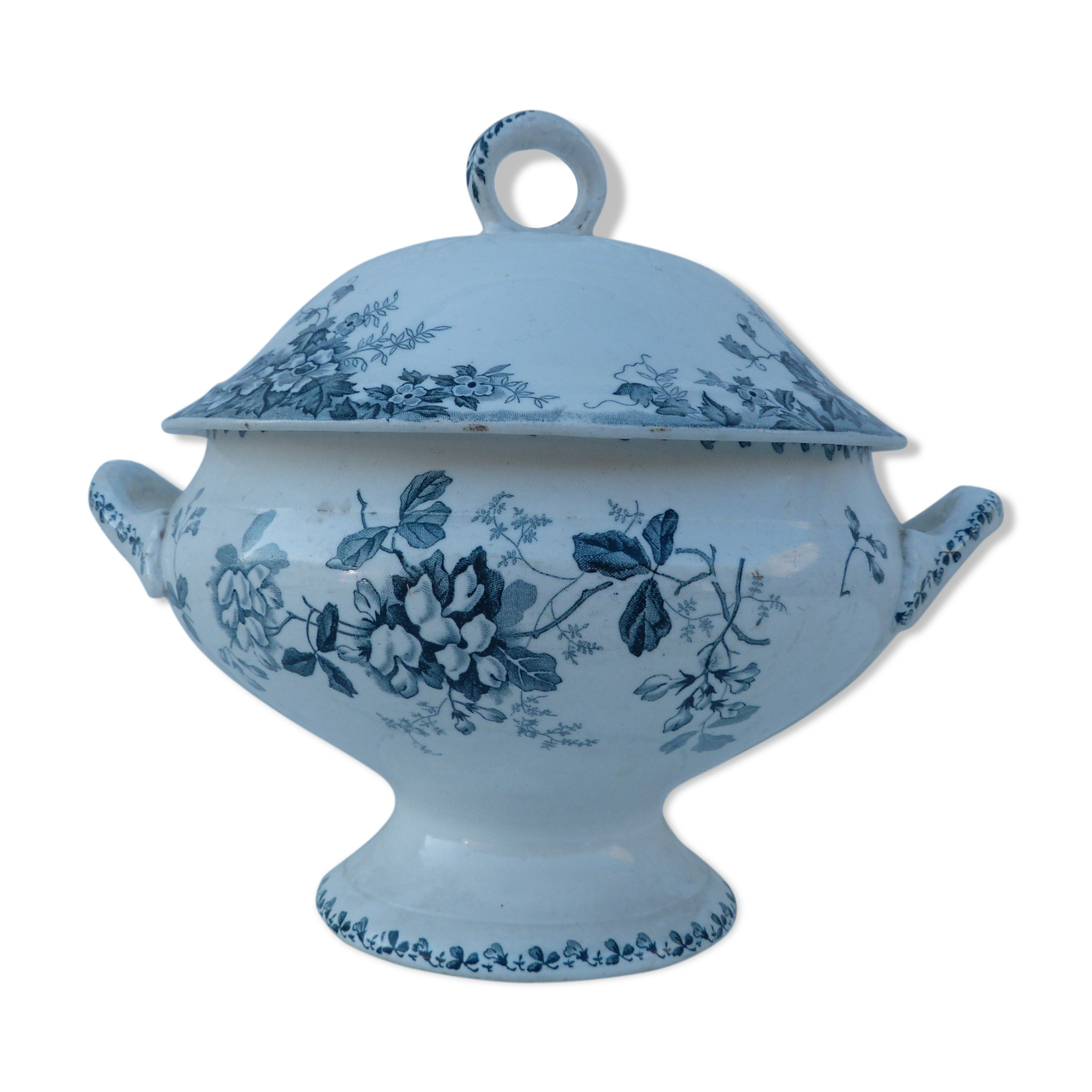 Old soup of The Hamge Wolves France Acacias