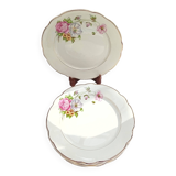 6 Anemone / Digoin flat plates