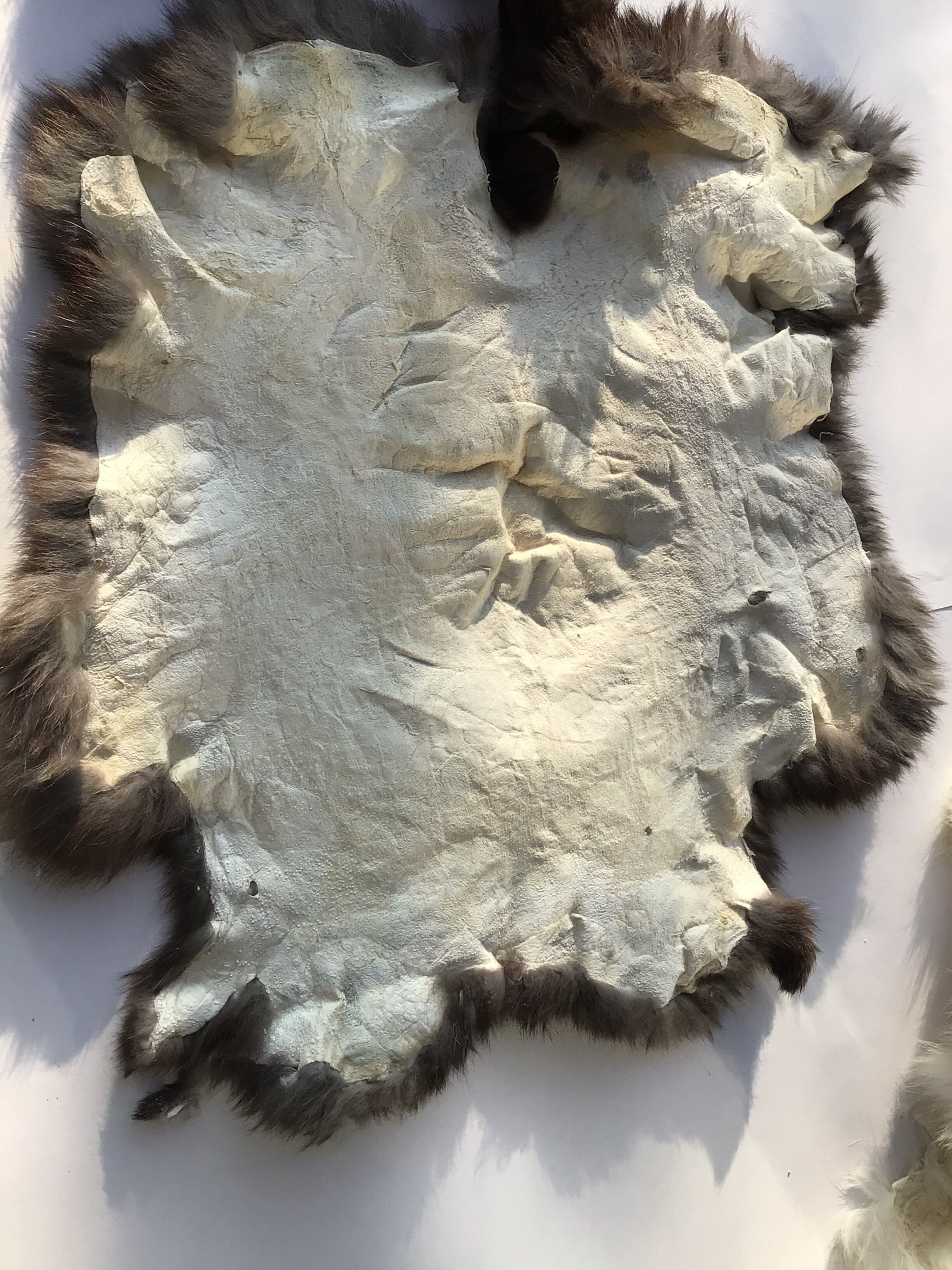 Dark brown rabbit skin