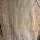 Gilded fireplace mirror with pediment