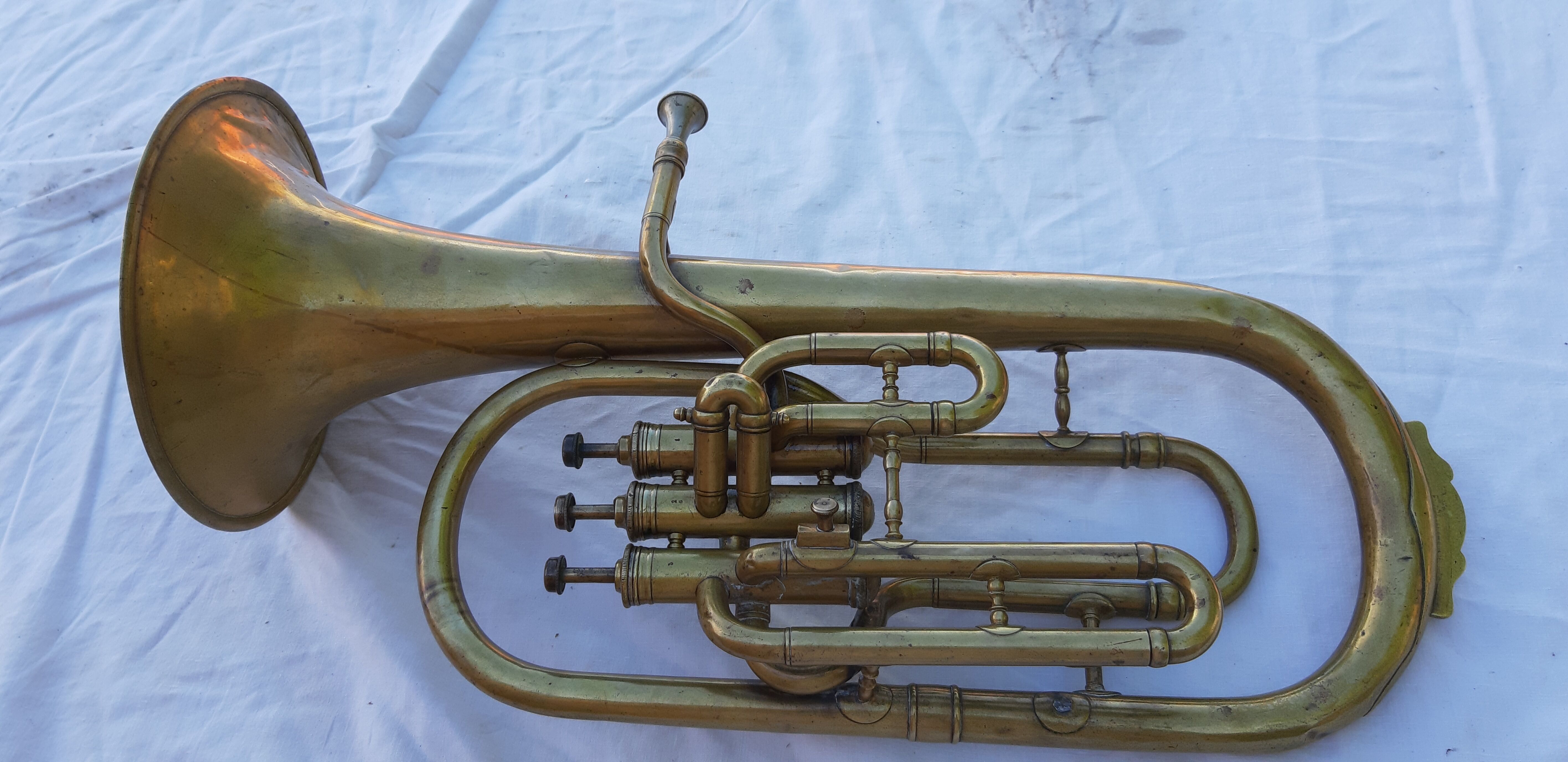 Trumpet cornet ancient margaritas