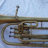Trumpet cornet ancient margaritas
