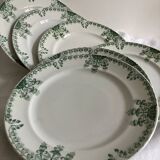 6 Fuchsia Onnaing flat plates