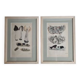 Deux anciennes gravures de champignons aquarellées XIXème siècle d'après G. Bernard