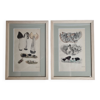 Two old engravings of watercolor mushrooms nineteenth century after G. Bernard