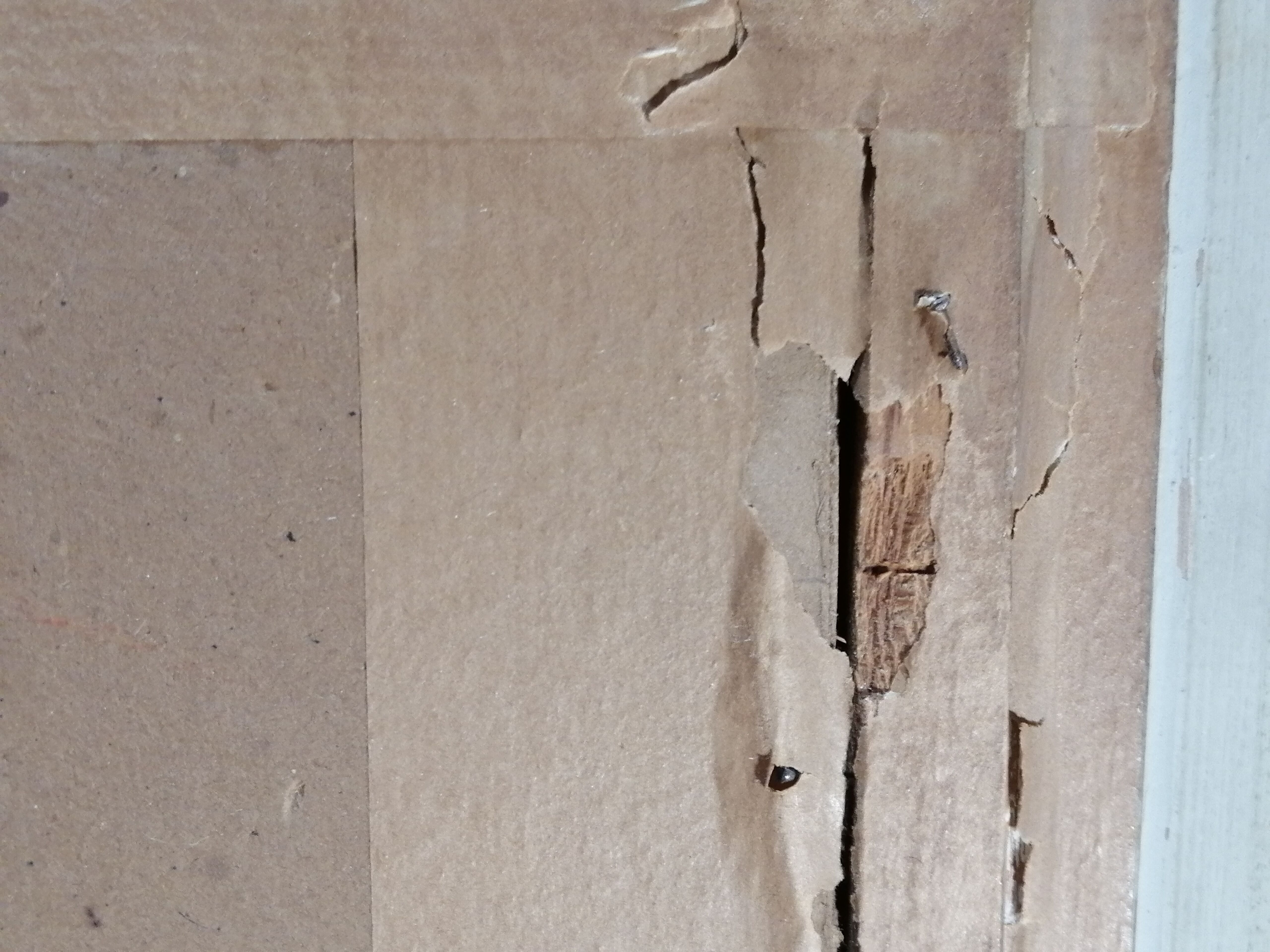 The sea of ice framed early 20th century.