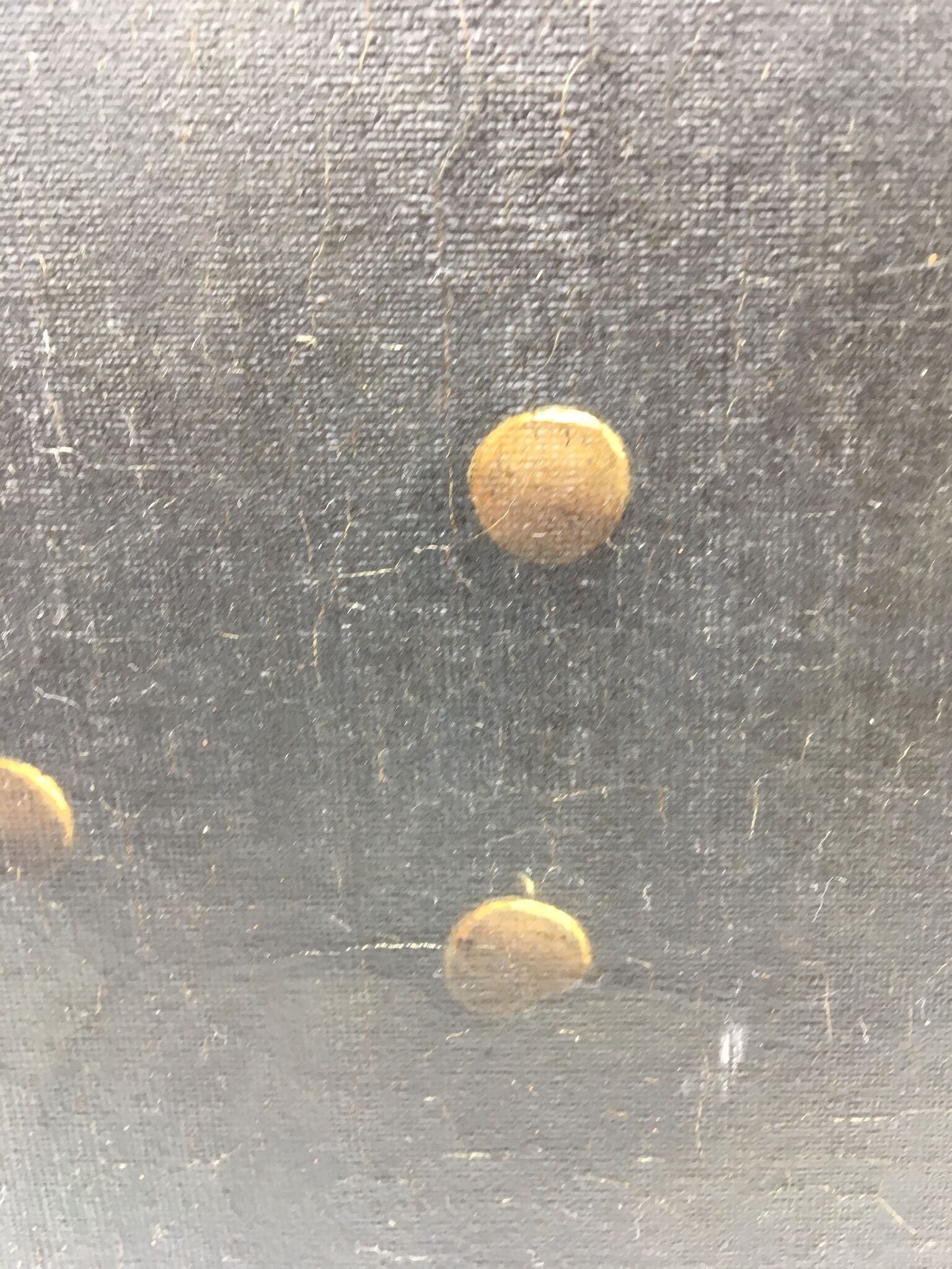 Signed painting, portrait of a gentleman with a book and an earring: 19th century