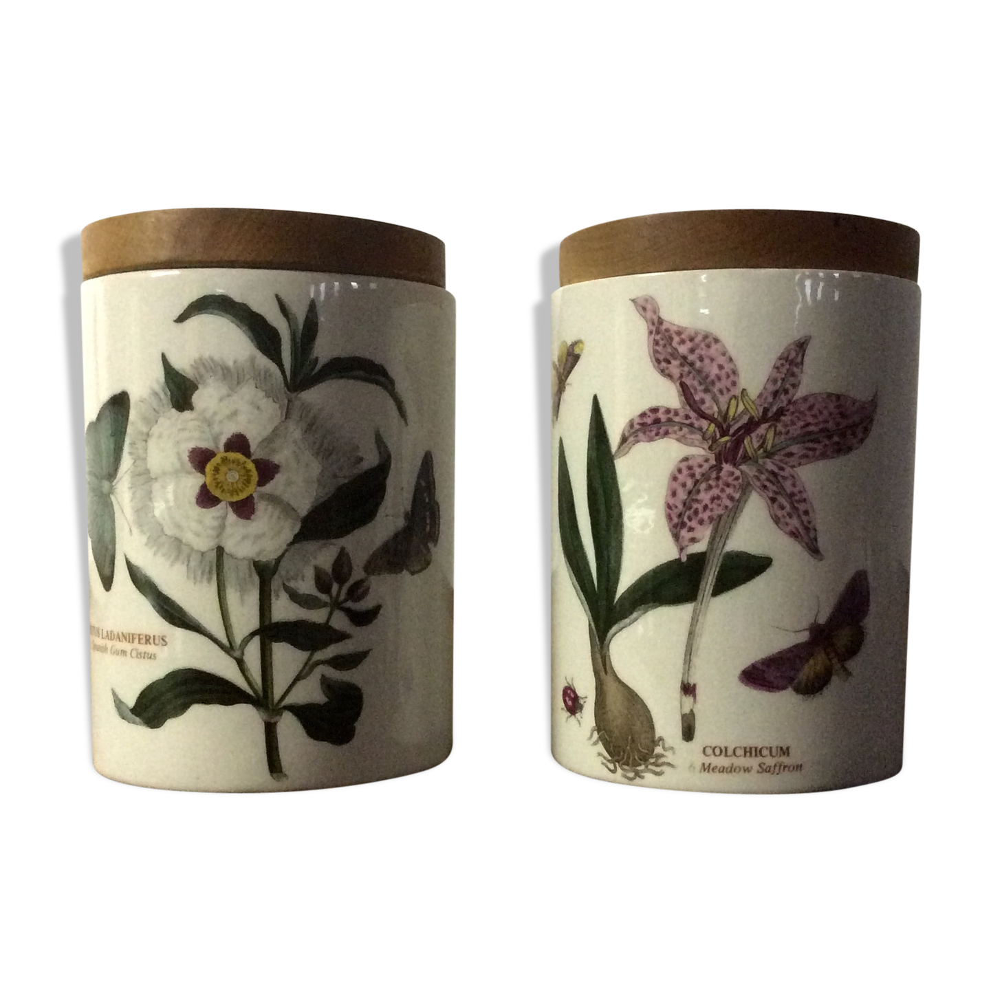 Pair of porcelain pots