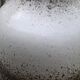Vase Scheurich vintage 493-21