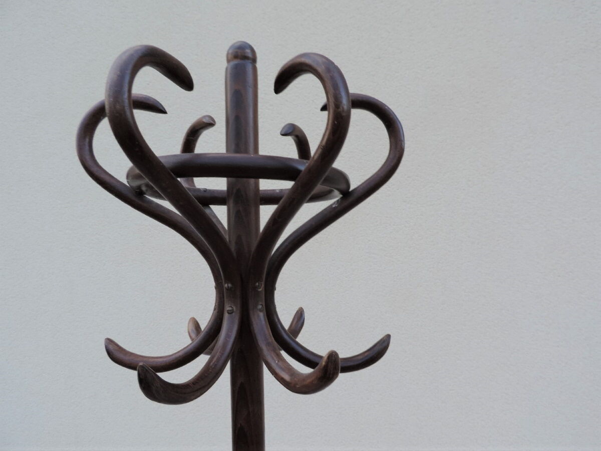 door - vintage parrot coat