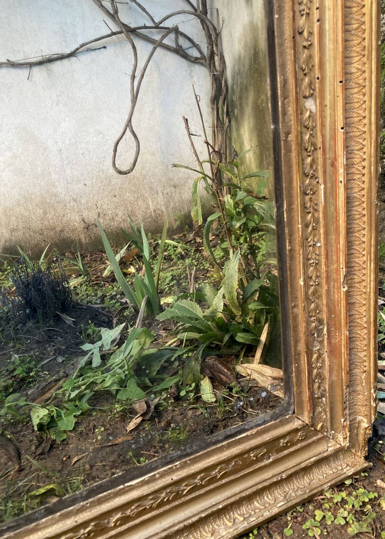Antique overmantel mirror - decoration of palmettes and water leaves