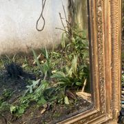 Antique overmantel mirror - decoration of palmettes and water leaves
