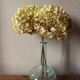 Vase soliflore glass belly neck