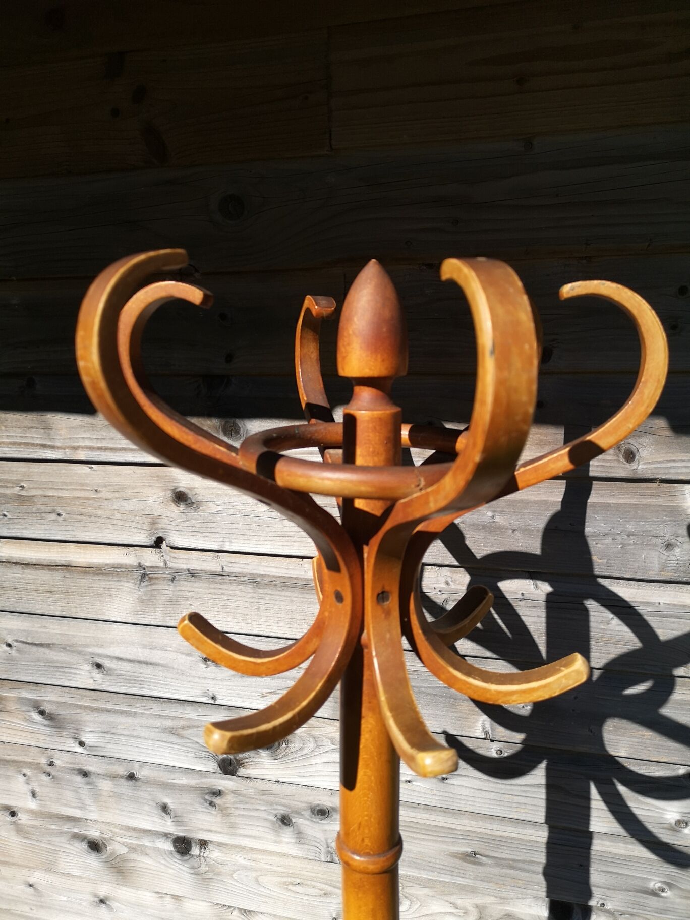 Baumann Parrot coat holder