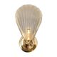 Glass shell wall lamp