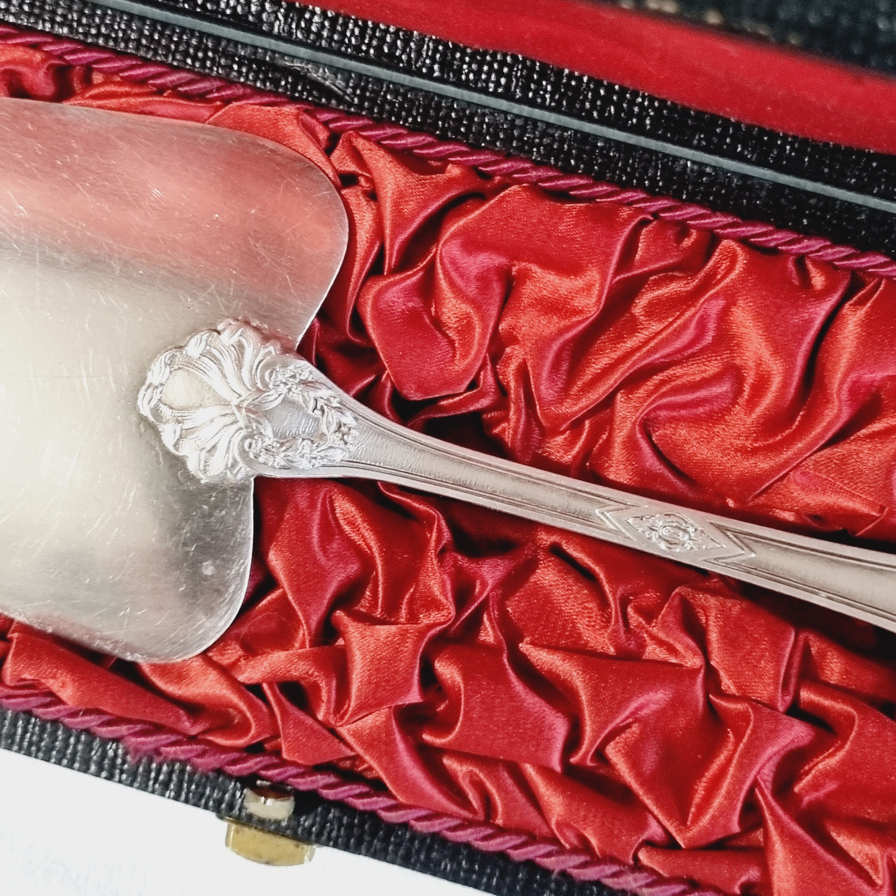 Boulenger pie shovel