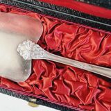 Boulenger pie shovel