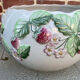 Vintage plant pot