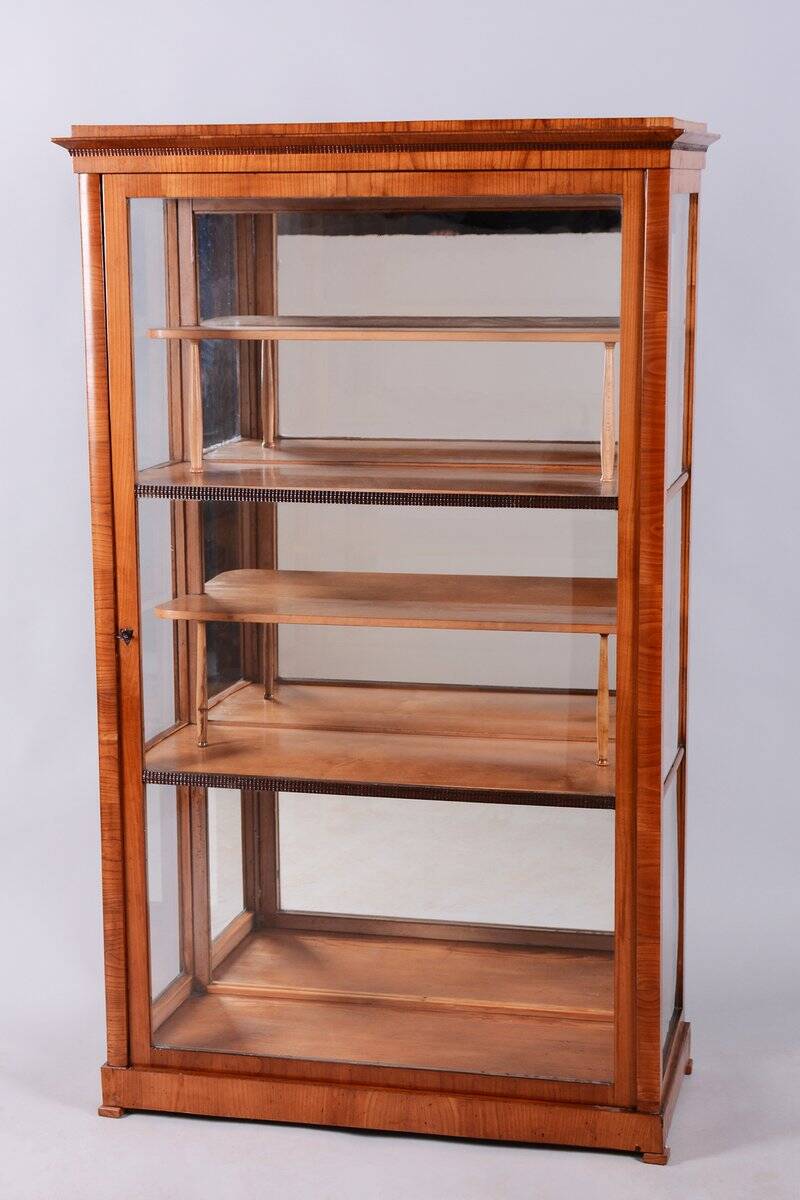 Antique Biedermeier Display Cabinet in Spruce, 1830s