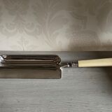 Old silver metal crumb tray