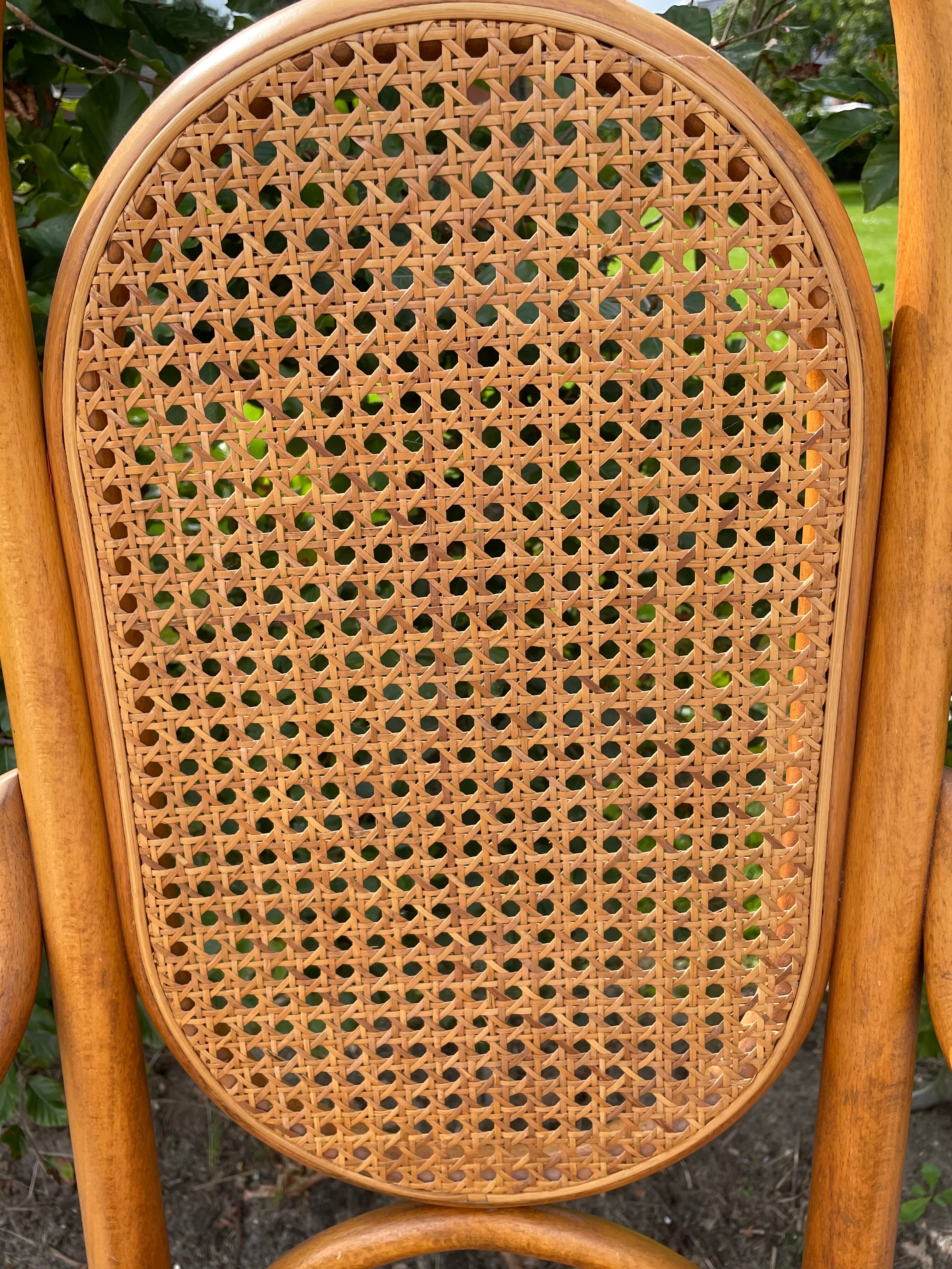 Sculptural bendwood side chair model