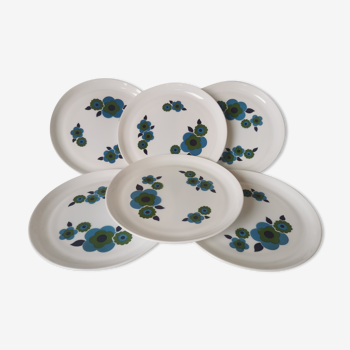 Lotus plates arcopal blue and green