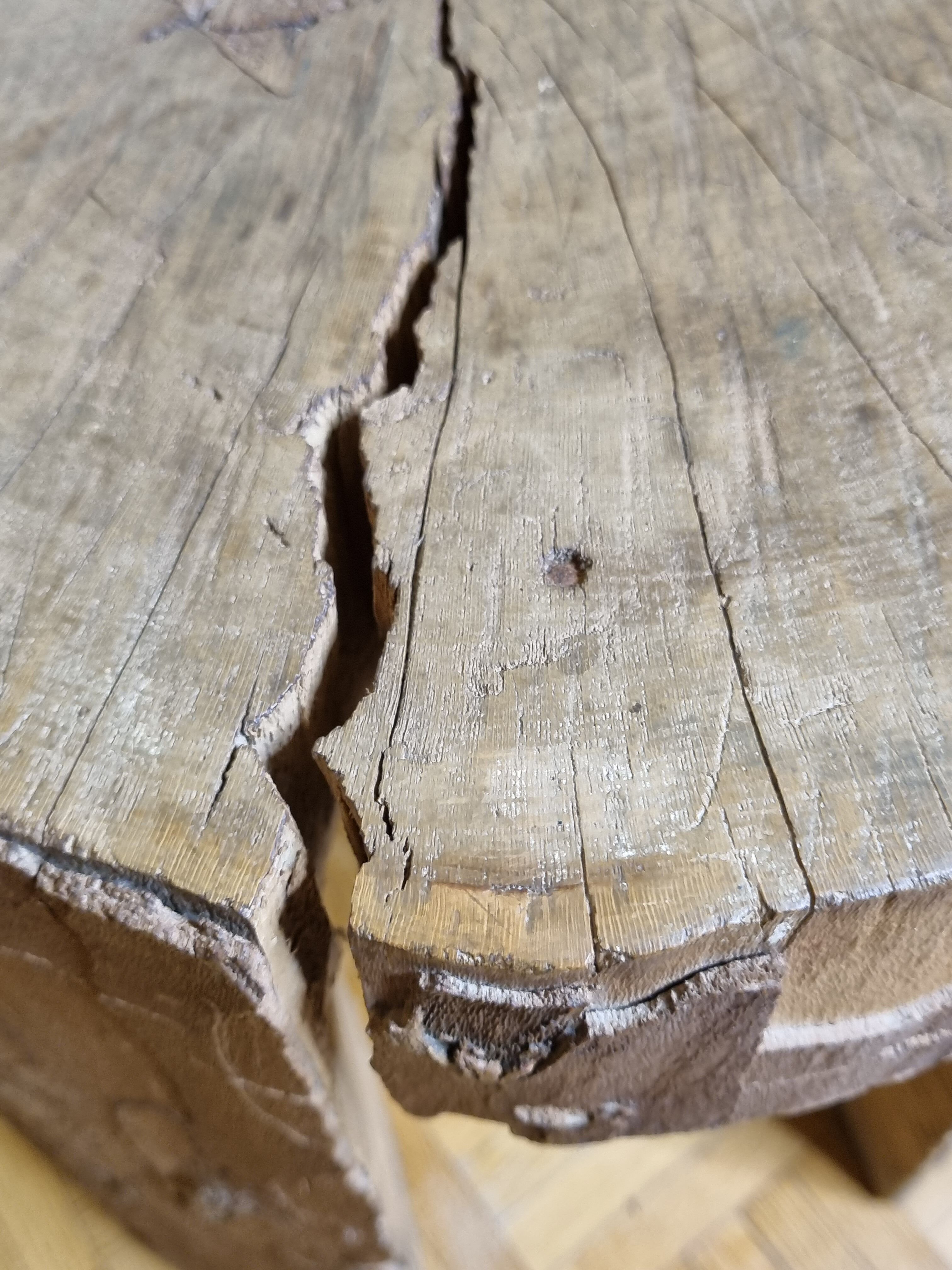 Brutalist solid wood coffee table carved from a room in a plane tree trunk