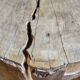 Brutalist solid wood coffee table carved from a room in a plane tree trunk