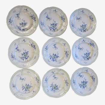 9 anciennes assiettes creuses K&G Lunéville modèle Régence