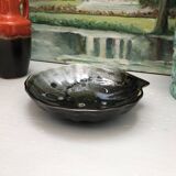 artisanal shell cup