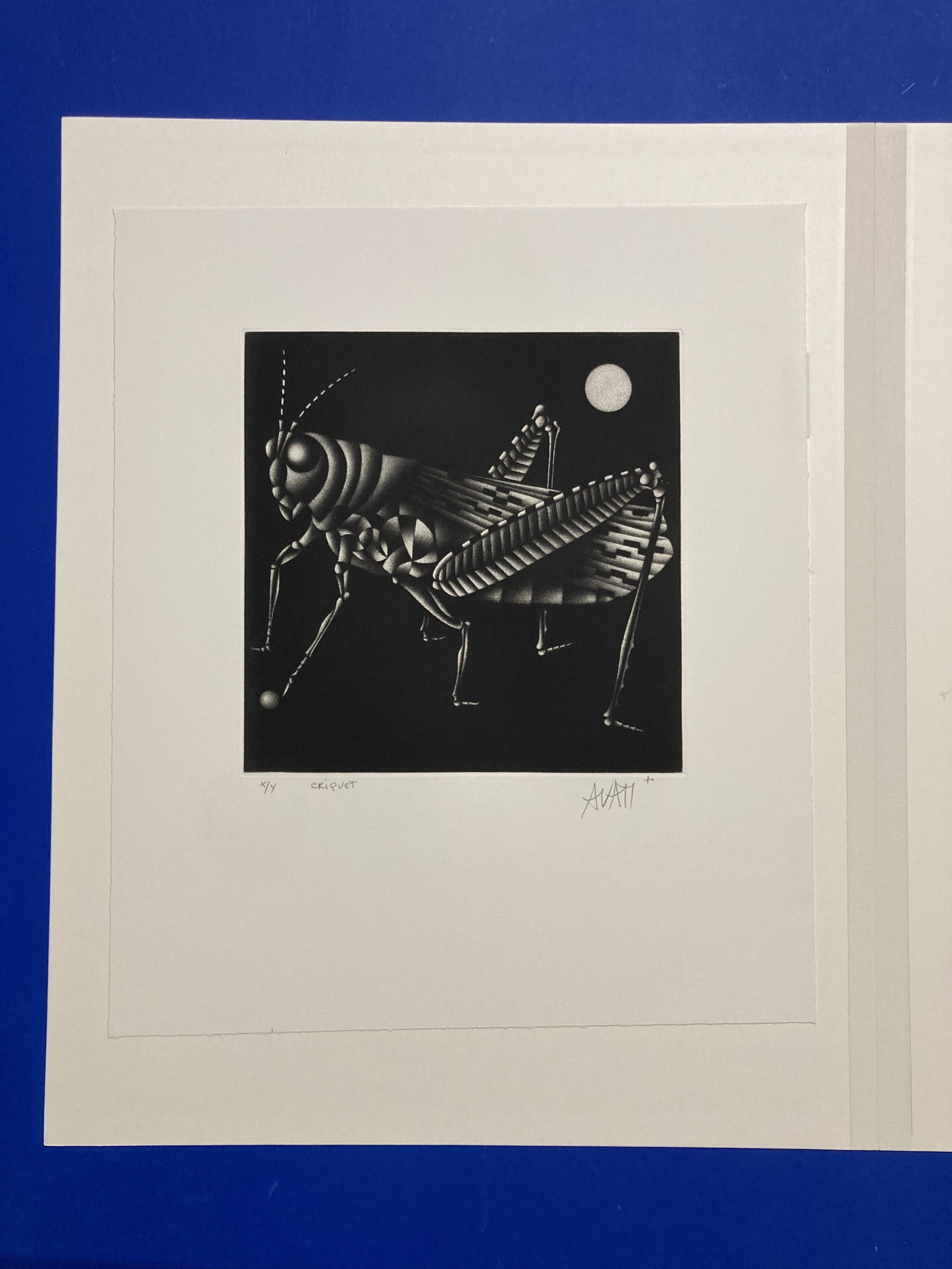 Mario avati (1921-2009), cricket, black manner, 1970