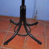 Coats Parrot wooden door