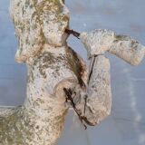 Gargoyle in cement mermaid bugle cathedral ep 1950