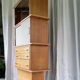 Bookcase showcase from the 50s