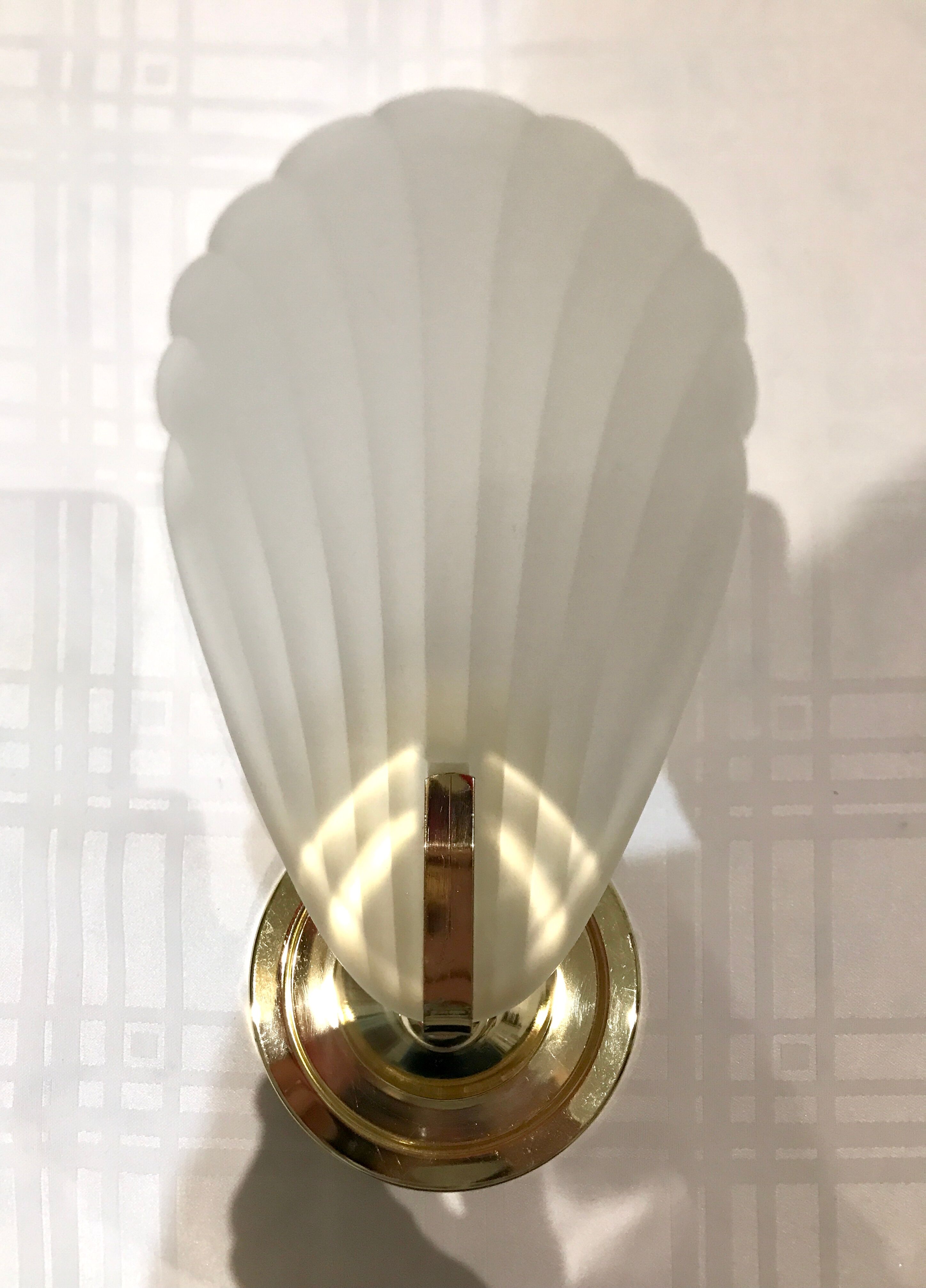 Pair of shell sconces
