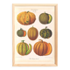 Poster about melons, based on an old engraving from 1886.