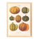 Poster about melons, based on an old engraving from 1886.