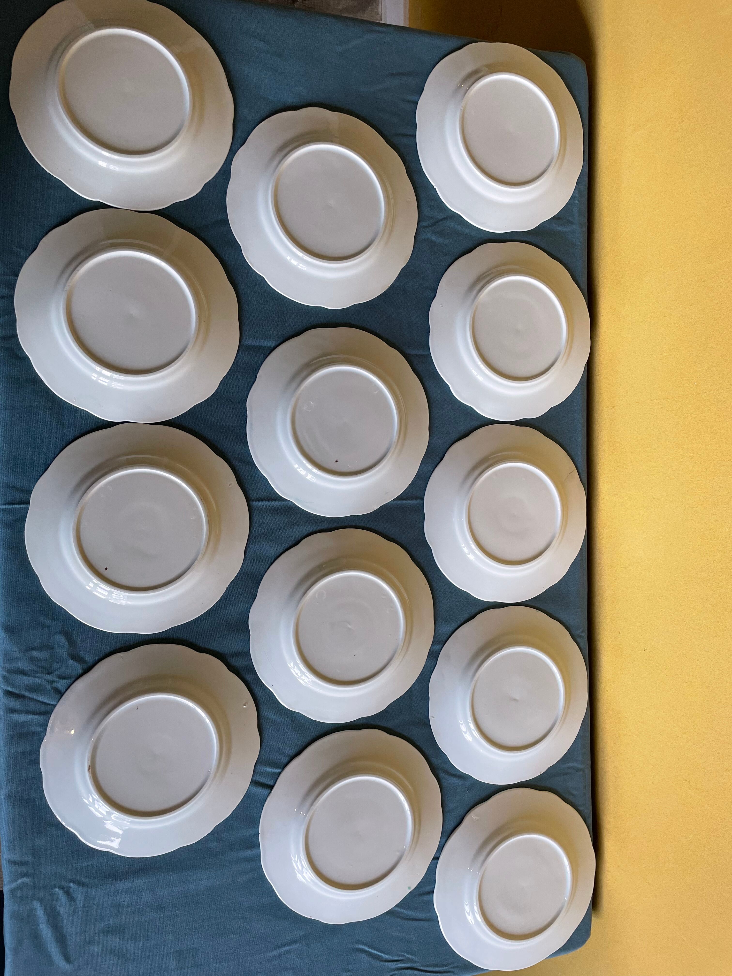 Set of green plates of water