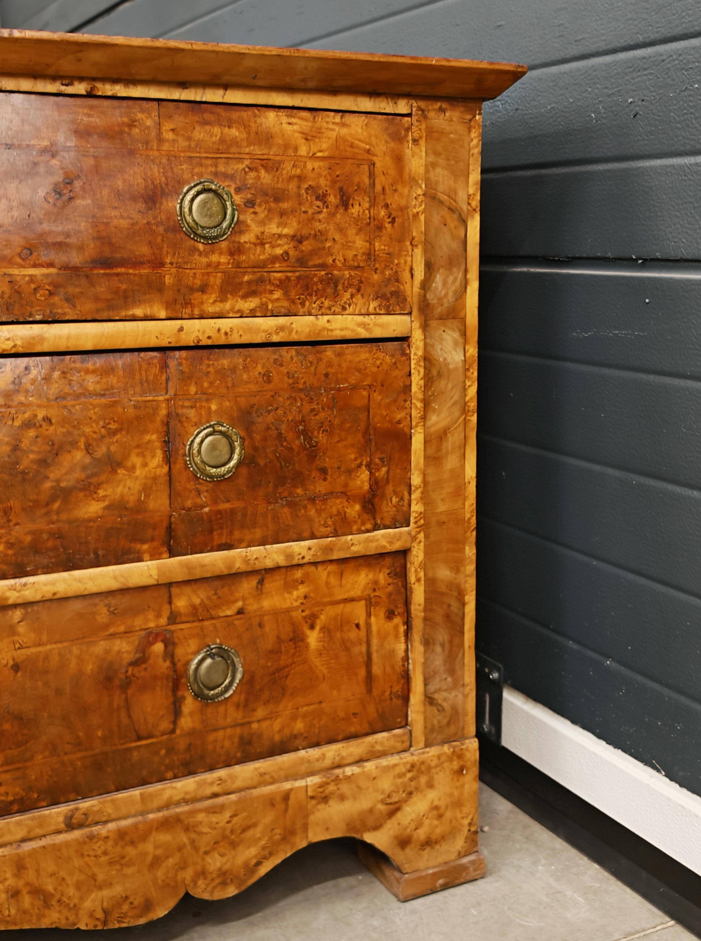 Biedermeier Commode in Poplar, Austria 1820s