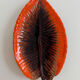 Ceramic plate Barbotine