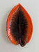 Ceramic plate Barbotine